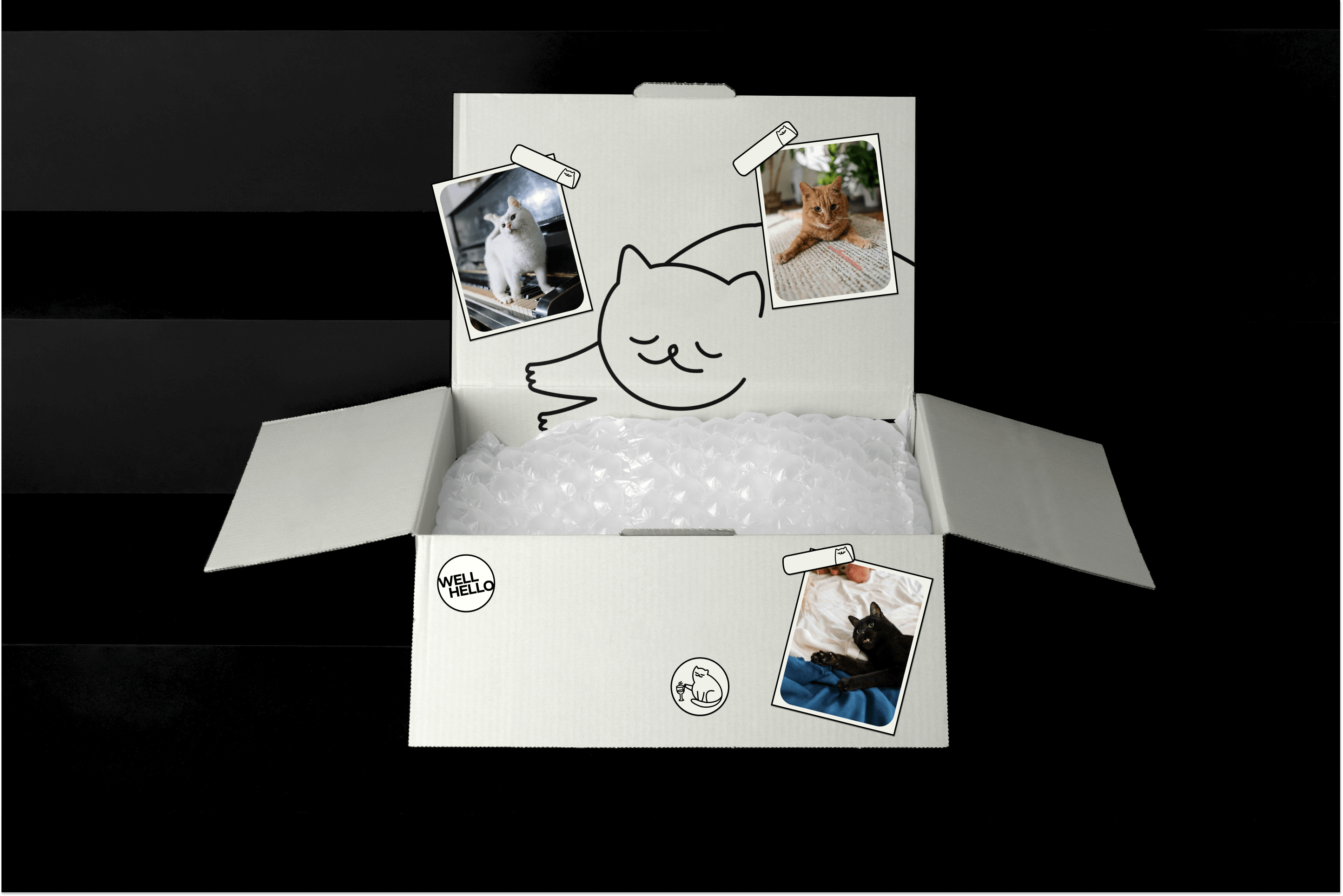 cat shelter well hello packaging cardboard box design with stickers - design by Miriam Melnikova