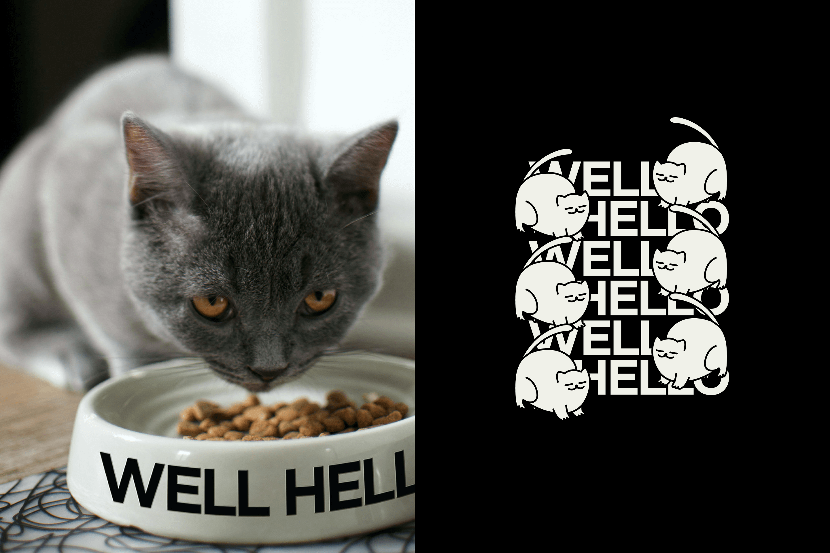 cat shelter well hello homeware design (cat bowl) - design by Miriam Melnikova